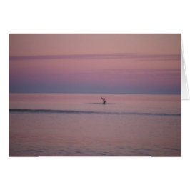 Pelican bei Sunset auf Sullivan's Island, SC