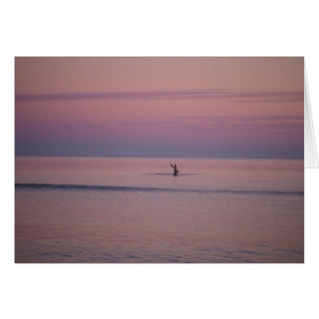 Pelican bei Sunset auf Sullivan's Island, SC (Vorderseite (Horizontal))