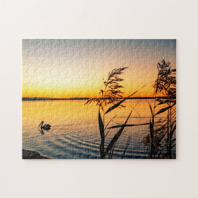 Pelican Bird Lake Water Pflanze Landschaft Szene Puzzle (Horizontal)