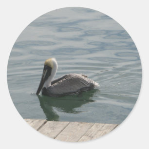 Pelican Bird Schwimmen auf dem Wasserfoto Runder Aufkleber