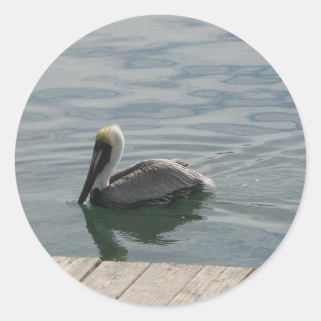 Pelican Bird Schwimmen auf dem Wasserfoto Runder Aufkleber (Vorderseite)