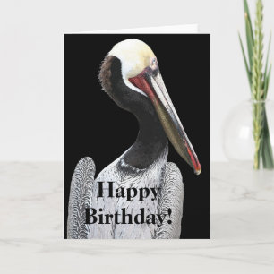 Pelican Birds Wildlife Animals Beach Karte