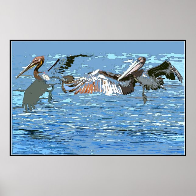 Pelican Birds Wildlife Animals Poster (Vorne)