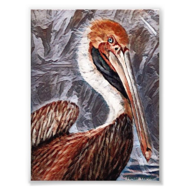 Pelican Brief Fotodruck (Vorne)