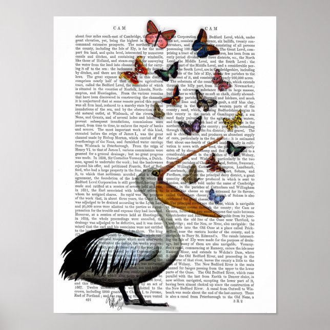 Pelican & Butterfisch Poster (Vorne)