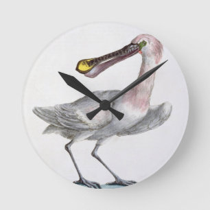 Pelican, c.1767-76 (hand coloured engraving) runde wanduhr