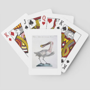 Pelican, c.1767-76 (handfarbene Gravur) Spielkarten