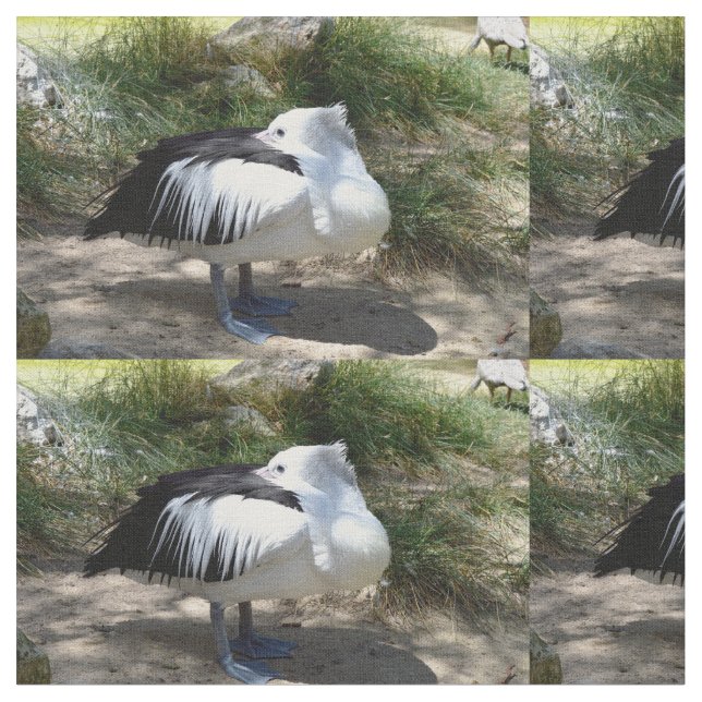 Pelican Cat Nickerchen, Stoff (Nahaufnahme)