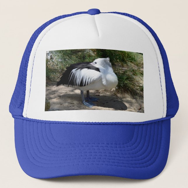 Pelican Cat Nickerchen, Trucker Hat Truckerkappe (Vorderseite)