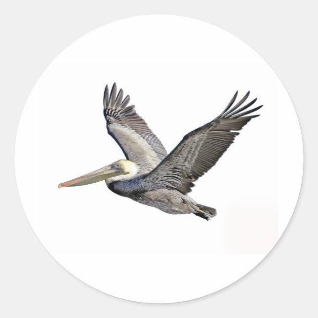 Pelican Clear Runder Aufkleber (Vorderseite)