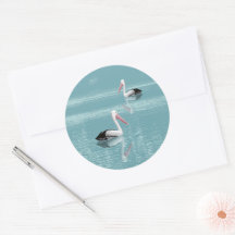 Pelican Couple Paddle auf Calm Aqua Water