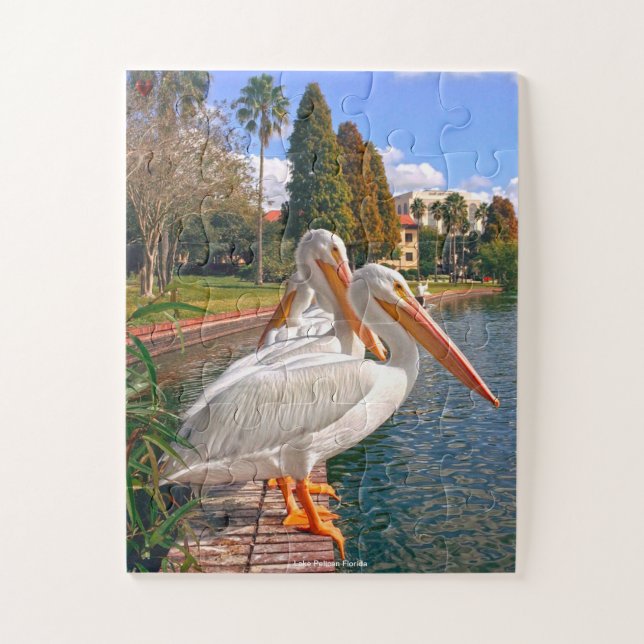 Pelican Florida Puzzle (Vertikal)