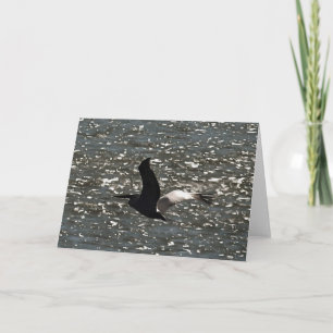 Pelican Flying Over Shimmering Lake Bafa Karte