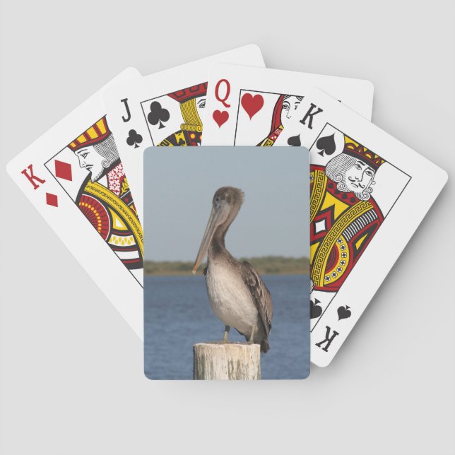Pelican Fotografy Deck of Cards Spielkarten (Rückseite)