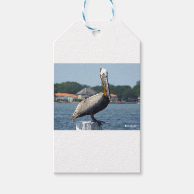 PELICAN GESCHENKANHÄNGER (Vorderseite)