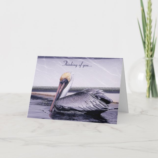 Pelican Gliding Karte (Vorderseite)