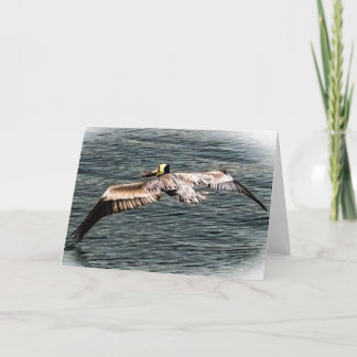 Pelican Greeting Card Karte