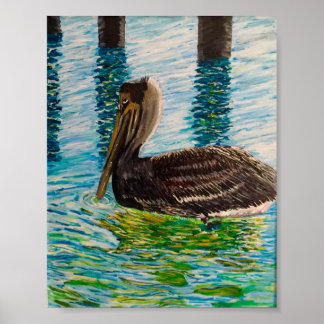 Pelican im Sonnenlicht der Florida Keys. Poster