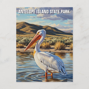 Pelican in Antelope Island Staat Park Utah Postkarte