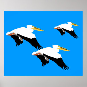 Pelican in Blue Oval Poster