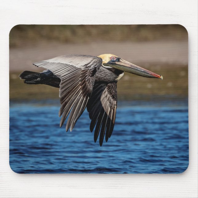Pelican in flight mousepad (Vorne)