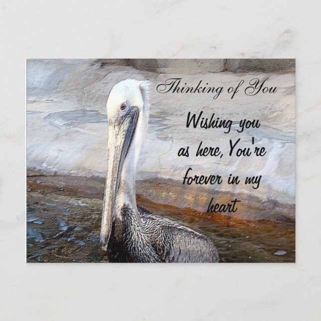 Pelican Liebe, Occasions_ Postkarte (Vorderseite)