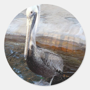 Pelican Liebe, Occasions_ Runder Aufkleber