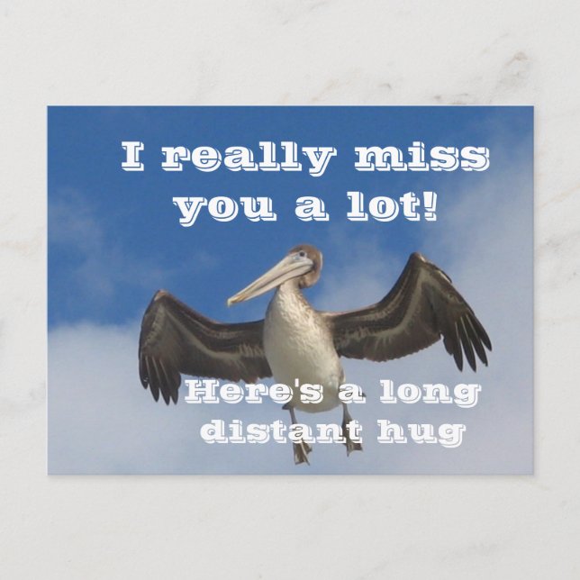 Pelican Liebe_ Postkarte (Vorderseite)