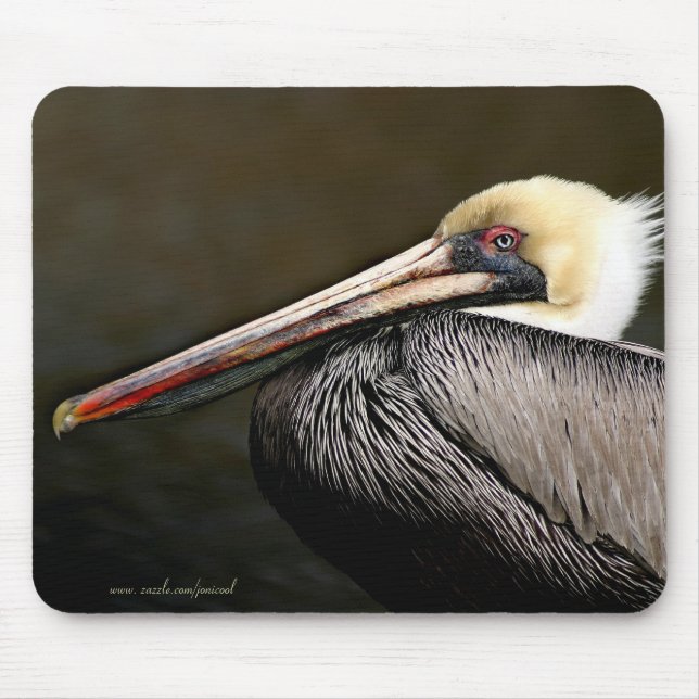 Pelican Mousepad (Vorne)