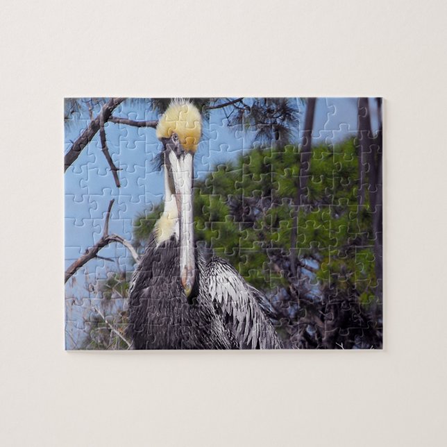 Pelican Perched Puzzle (Horizontal)
