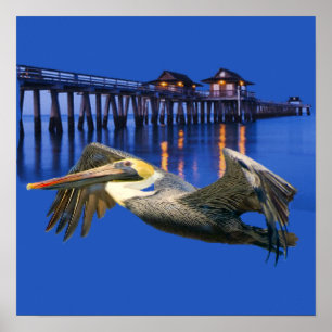 Pelican Pier Poster