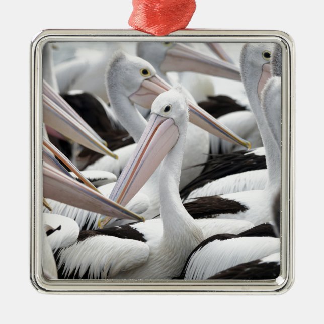 Pelican Pod Ornament Aus Metall (Vorne)
