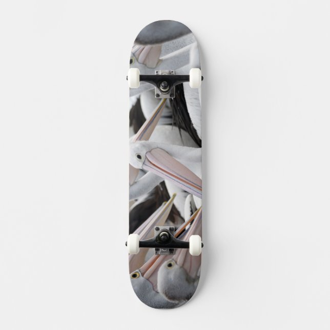 Pelican Pod Skateboard (Vorderseite)