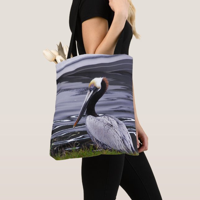 Pelican Poser (Von Nahem)