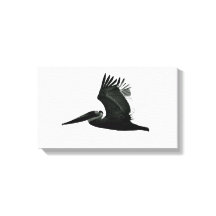 Pelican Print - "In Flight"