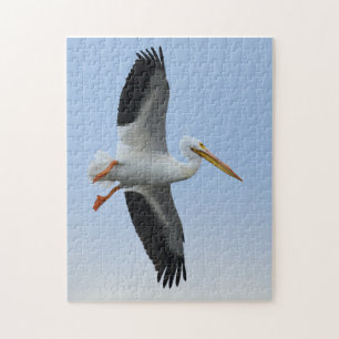 Pelican Puzzle 11x14