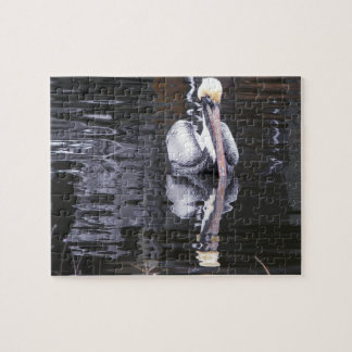 Pelican Reflection Puzzle