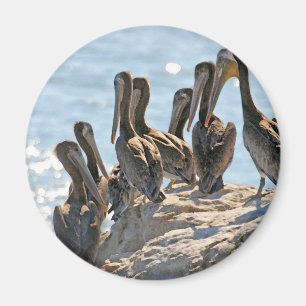 Pelican Rock Magnet