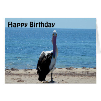 Pelican Stare Down, Geburtstagskarte