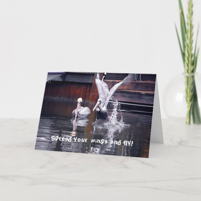 Pelican Start Karte (Vorderseite)