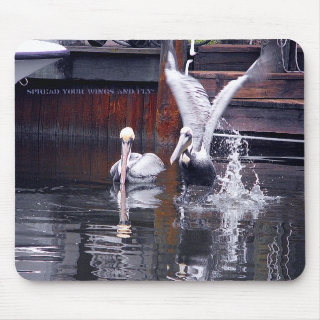 Pelican Start Mousepad (Vorne)