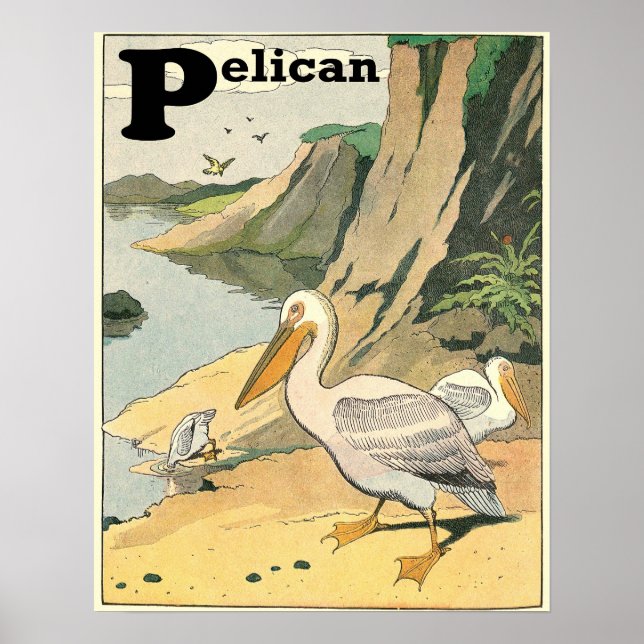Pelican Story Book Alphabet Poster (Vorne)