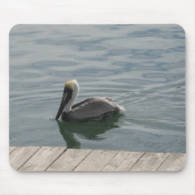 Pelican Swiming im Wasser Mousepad (Vorne)