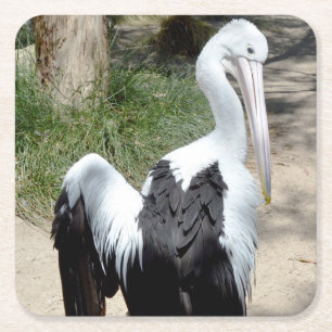 Pelican Time To Prepaid, Paper Untersetzer