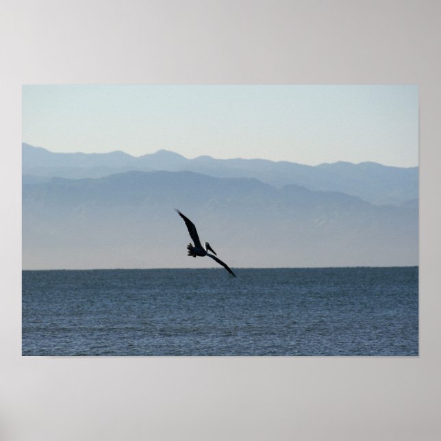 Pelican Turn to Dive Poster (Vorne)