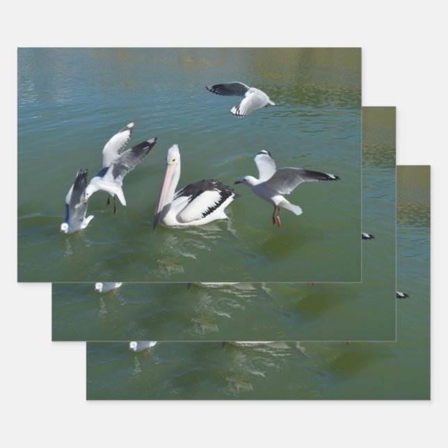 Pelican und die Gate Crashers, Geschenkpapier Set (Set)