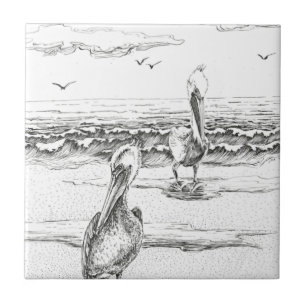 Pelican Woorim Strand, Australien, Queensland Fliese
