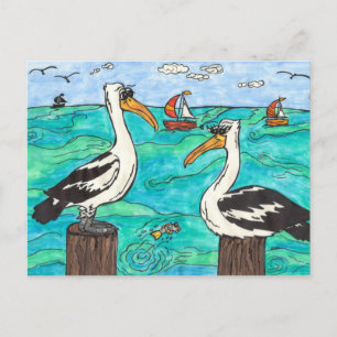 Pelicans Postkarte