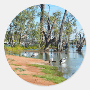 Pelicans Sunbaking Fluss Murray Australia Stickers