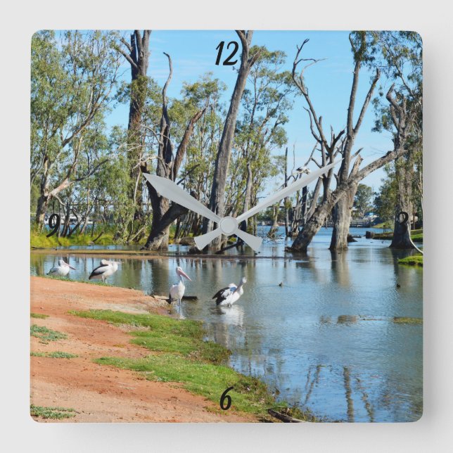 Pelicans Sunbaking River Murray, Wall Clock Quadratische Wanduhr (Vorderseite)